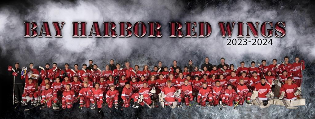 Bay Harbor Red Wings Team Photo